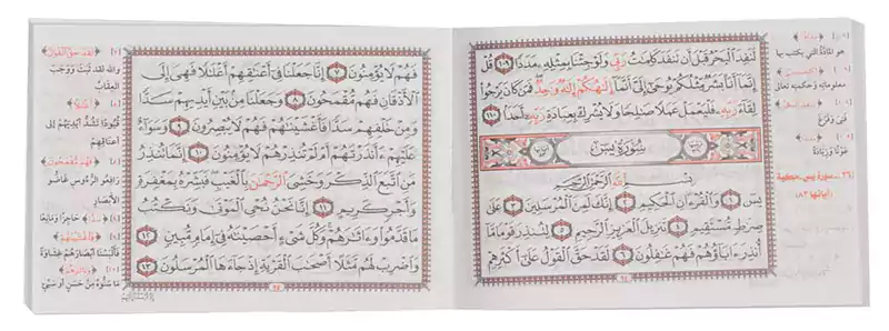 مصحف سور متعددة، الرحاب، ألوان متعددة