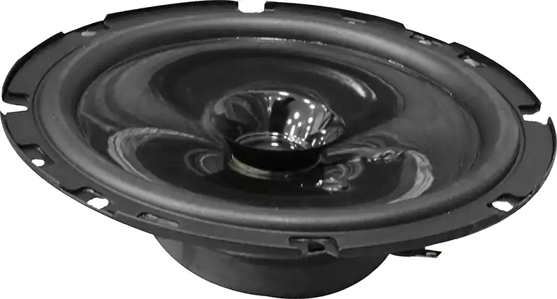 سماعة سيارة مكبرة للصوت من بلاك فوليوم، 16 سم، أسود PS-1610