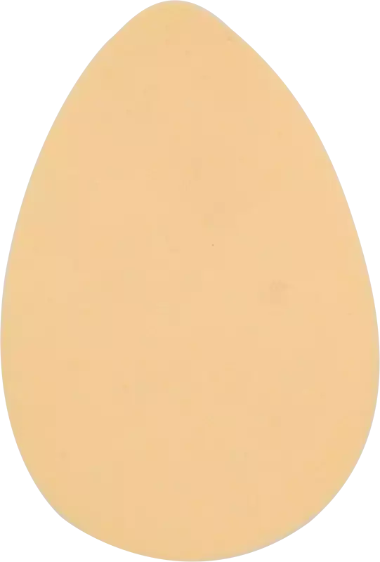 بيوتي بلندر بلوسوم، DS04