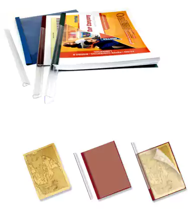 دوسيه بلاستيك مينترا ، يأتي مع مسطرة ، ألوان متعددة