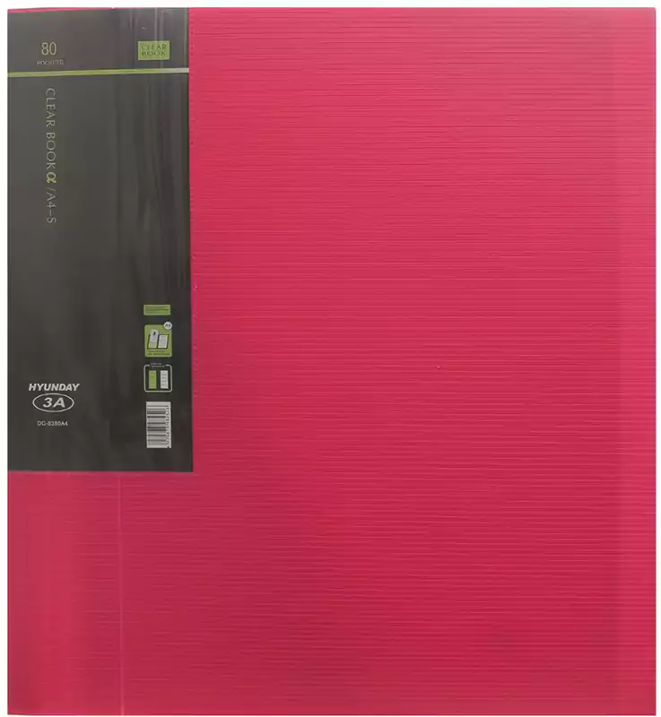 حافظة أوراق A4 بجيوب هيونداي، 80 جيب، ألوان متعددة