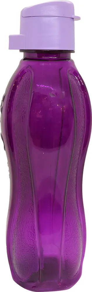 Rio water bottle, plastic, 1 liter, purple