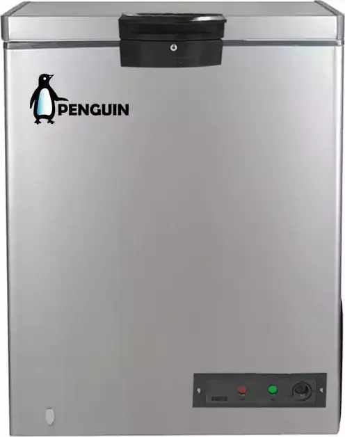 ديب فريزر أفقي بنجوين ، ديفروست ، 160 لتر ، فضي، ES171