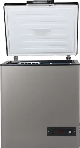 Passap chest deep freezer, defrost, silver, ES 341
