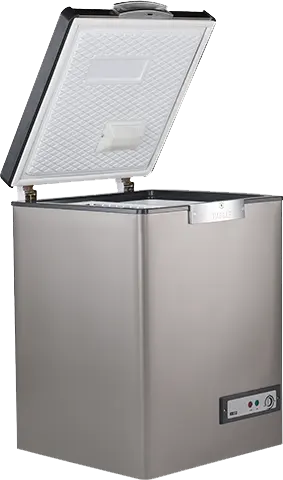 Passap chest freezer, 160 L defrost, internal steel, ES171