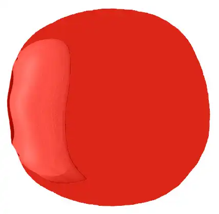 مونيكر نوت انيميل، 66