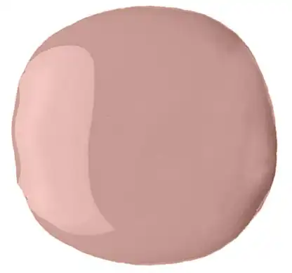 مونيكر نوت ايكون انيميل، 507