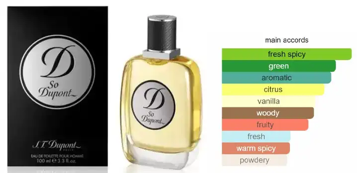 عطر سو دوبنت بور هوم من اس.تي. دبونت للرجال بخاخ او دي تواليت 100 مل