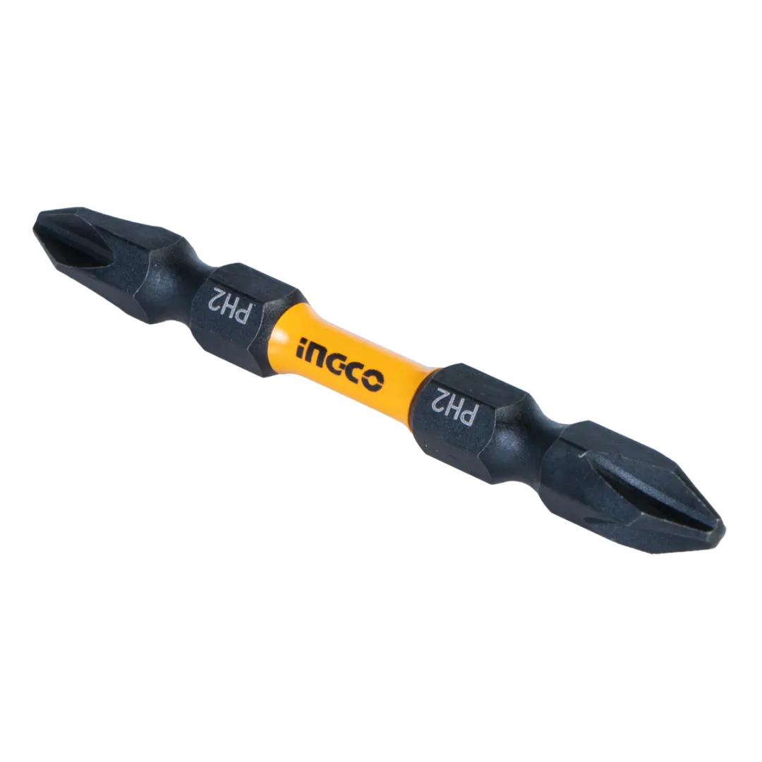 inGCO Anco Screwdriver Bit Set, 10 Pieces, SDBIM21PH233