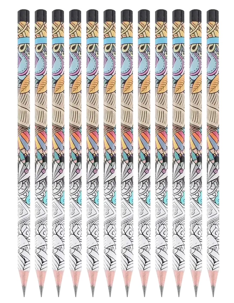 طقم قلم رصاص ديلي 12 قطعة جرافيتي 2B