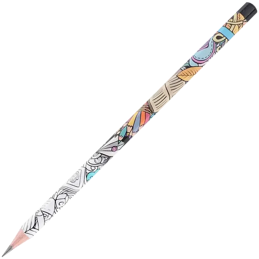 طقم قلم رصاص ديلي 12 قطعة جرافيتي 2B