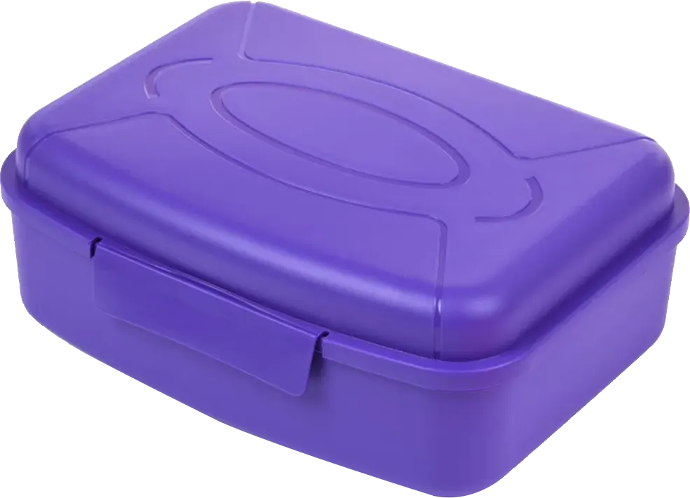 لانش بوكس مينترا 2 لتر، بلاستيك ، ألوان متعددة