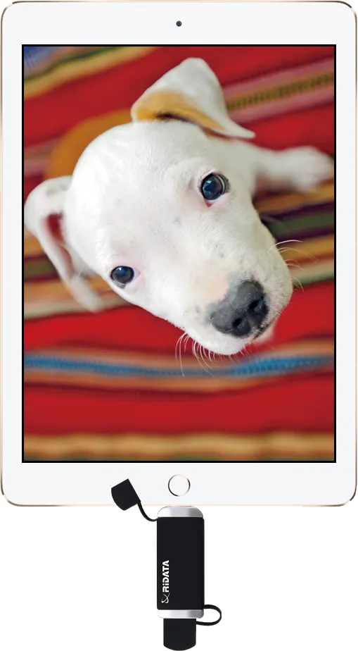 محرك أقراص فلاش USB ري داتا بسعة 64 جيجابايت، مخرج OTG لأجهزة Apple، معتمد من iOS، أسود