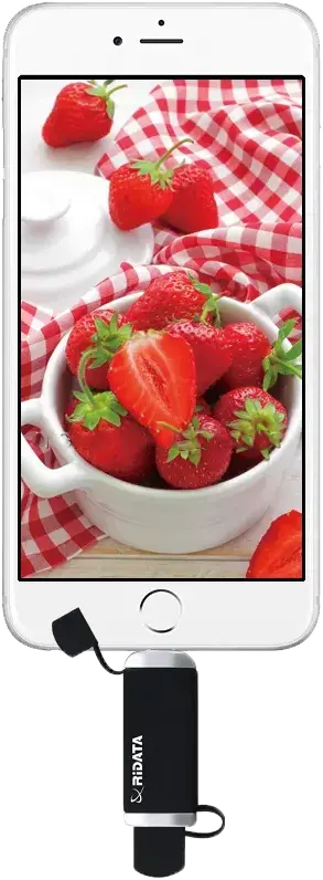 محرك أقراص فلاش USB ري داتا بسعة 64 جيجابايت، مخرج OTG لأجهزة Apple، معتمد من iOS، أسود