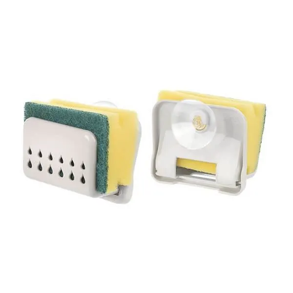 علاقة الإسفنج من تيتيز ،ألوان