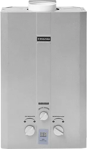 سخان مياه غاز وايت بوينت 10 لتر، شاشة ديجيتال، فضي، WPGWH10LS