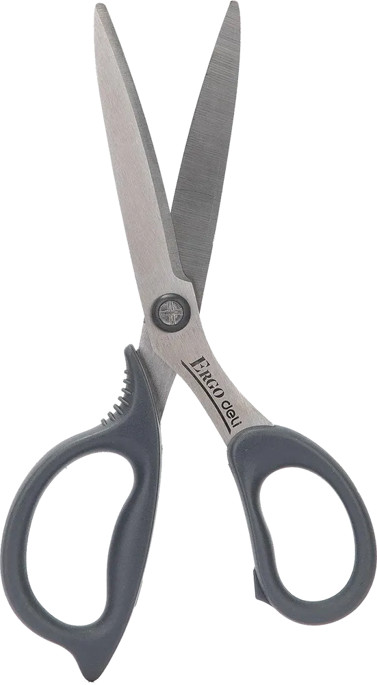 مقص استانلس بيد بلاستيك مريحة من ديلي، مقاس 21 سم، متعدد اللون، E77758