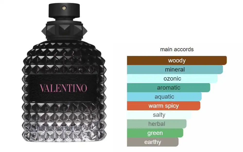 عطر بورن ان روم من فالنتينو اومو للرجال  او دي تواليت 100 مل