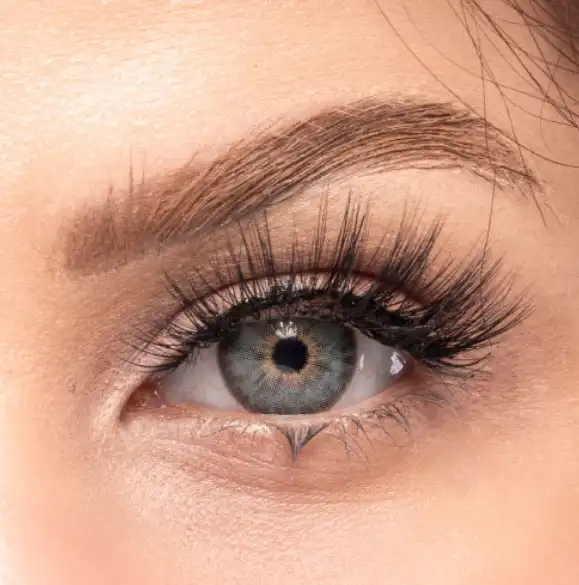 لينسز اوربان لايرللأستخدام السنوي، أخضر