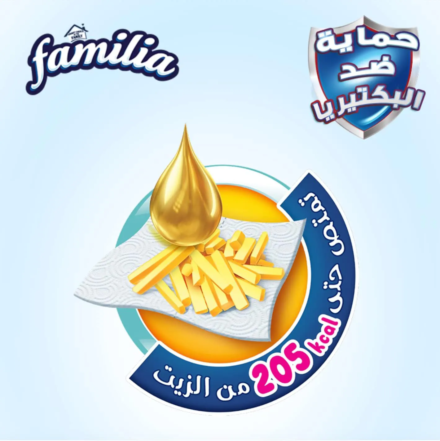 مناديل مطبخ فاميليا بلس، 2 طبقة، 12 قطعة رول