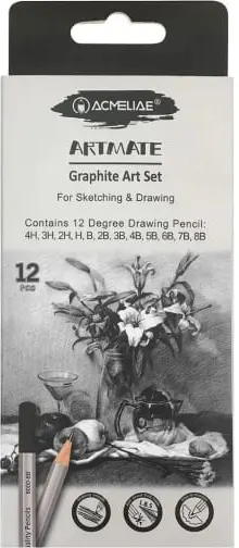 طقم قلم رصاص أكملية ،علبة كرتون، 12 قطعة