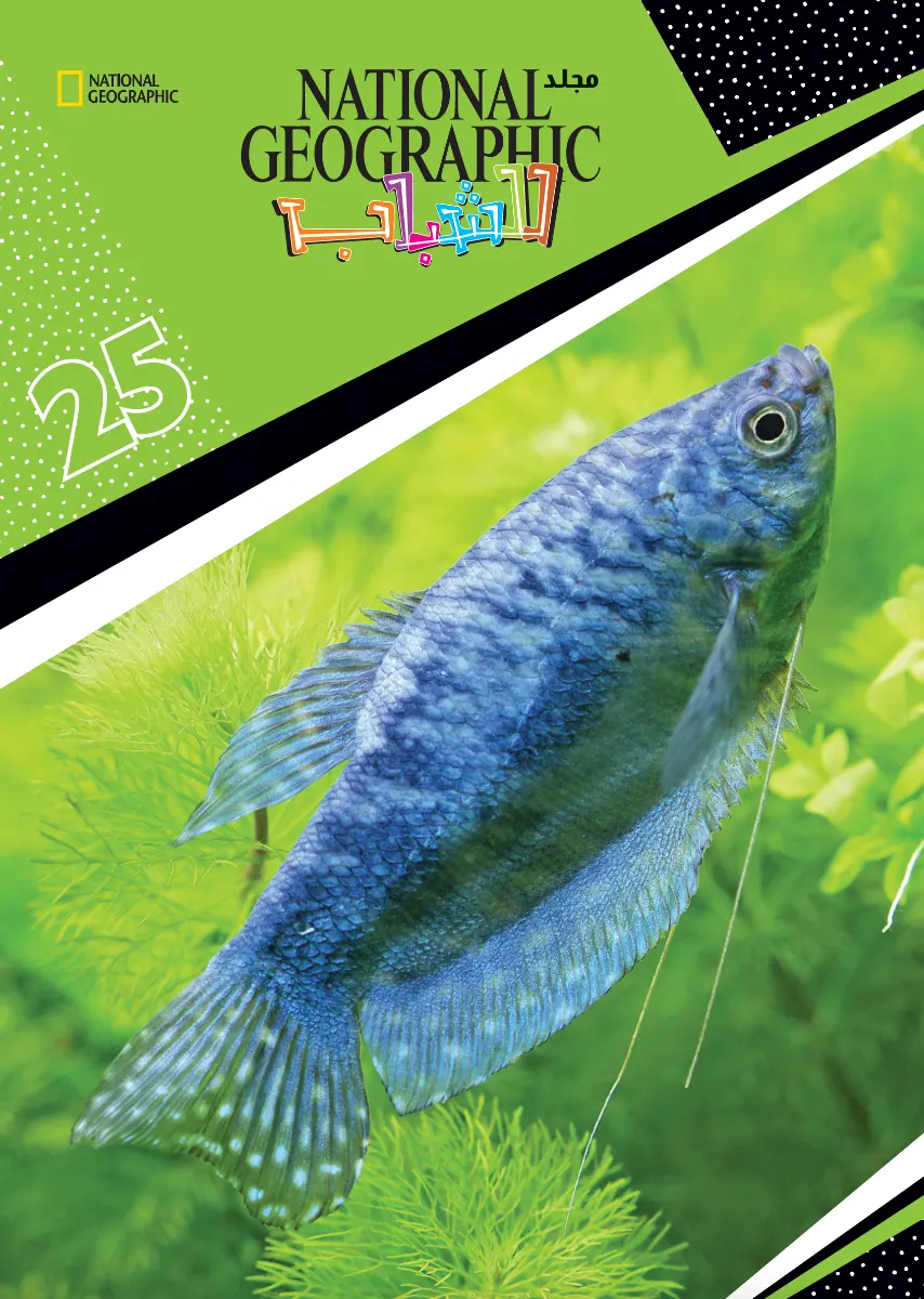 مجلد ناشيونال جيوغرافيك رقم 25