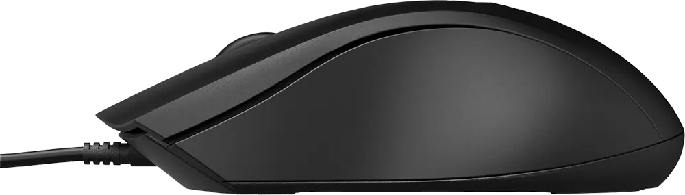 ماوس سلكي اتش بي 100، منفذ USB-A، دقة 1600 نقطة في البوصة، أسود