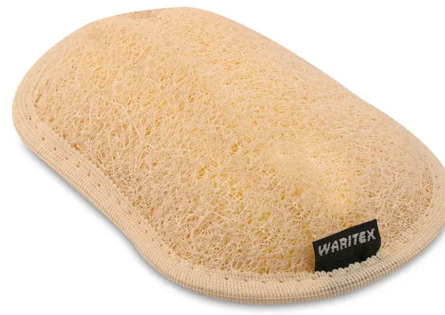 ليفة وريتكس بيضاوية، ليفة استحمام للجسم.