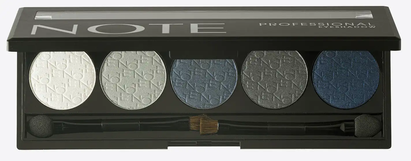 ايشادو نوت بروفيشنال ايشادو باليت، 101، 5 الوان