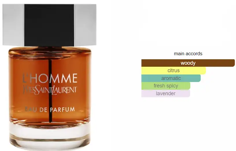 عطر لا هوم من ايف سان لوران للرجال او دي بارفان 100 مل