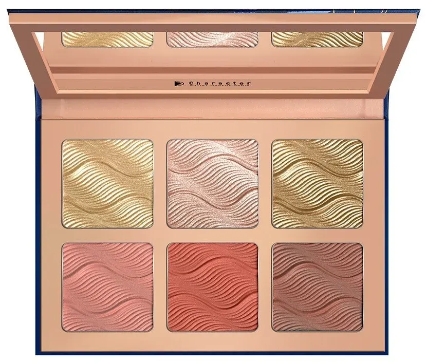 باليت هايلايتر اند بلاشر كاركتر، 6 الوان، CBH003