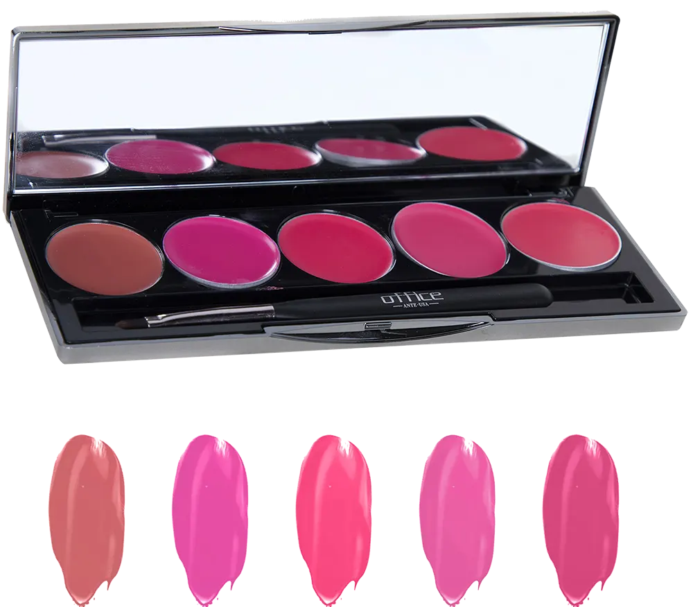 باليت روج اوفيس ، 5 الوان كريمي ، D05