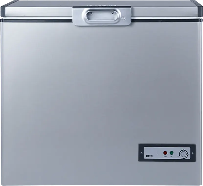 Passap Defrost Chest Freezer, Interior Steel , Silver, ES335