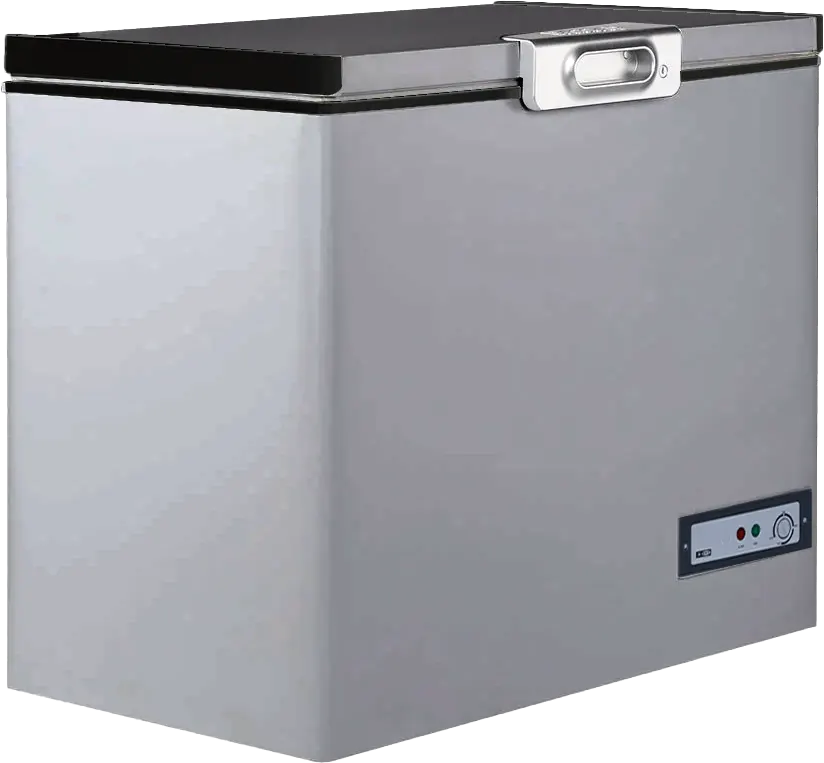 Passap Defrost Chest Freezer, Interior Steel , Silver, ES335