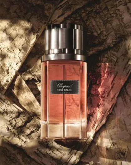 عطر روز ملكي من شوبارد للجنسين او دي برفان، 80 مل