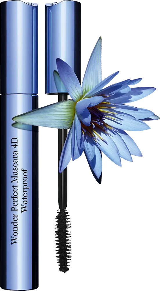 ماسكرا كلارنس وندر بيرفكت 4D المقاومة للماء، 01 بيرفكت بلاك