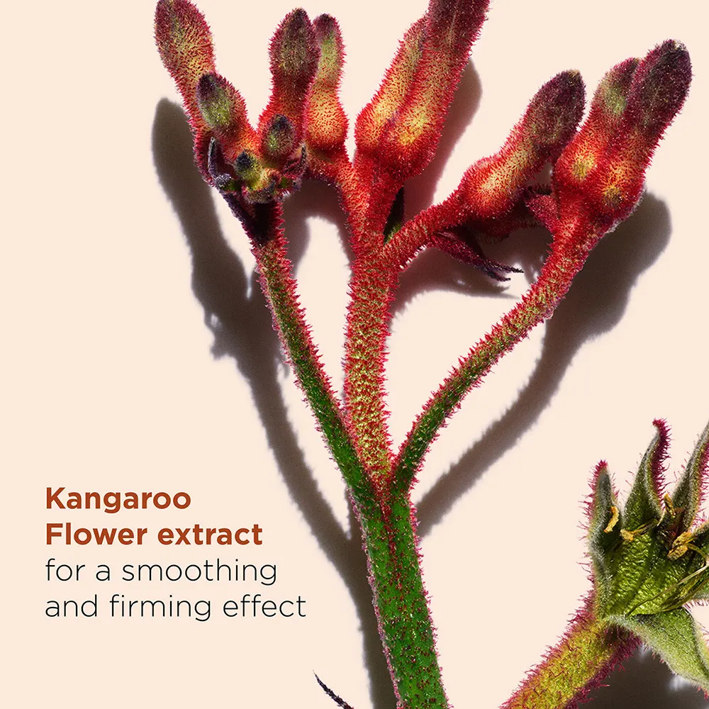 كلارنس كريم العين توتال اي سموث، 15 مل.