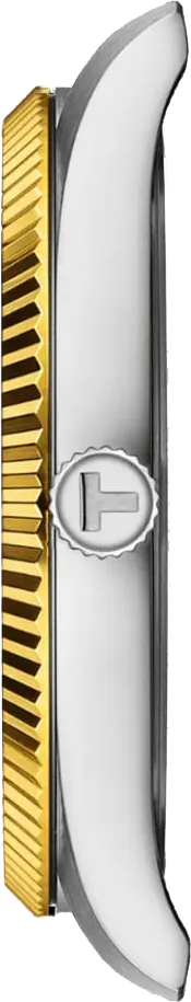 ساعة تيسوت للرجال، مينا فضية، عقارب دائرية،  سوار ستانلس ستيل فضي* ذهبي، ساعة يد تناظرية، فضي* ذهبي، T156-410-22-031