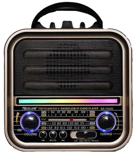 راديو محمول من جولون ، يدعم بلوتوث و USB ، بطارية شحن ، أسود ، ( ضمان شهر )  ، RX-730D