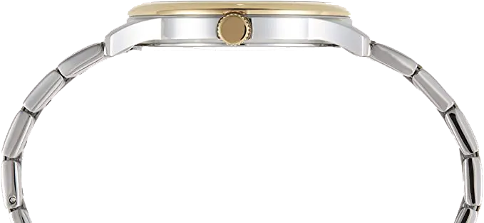 ساعة سيتيزن للرجال، ميناء أسود، عقارب دائرية، سوار ستانلس ستيل فضي*ذهبي، ساعة يد تناظرية، فضي*ذهبي، BI1054-80E