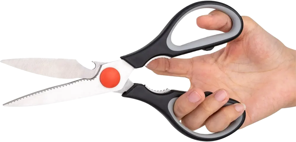 مقص ستانلس ستيل بيد سيليكون من ديلي متعدد الألوان - E77750