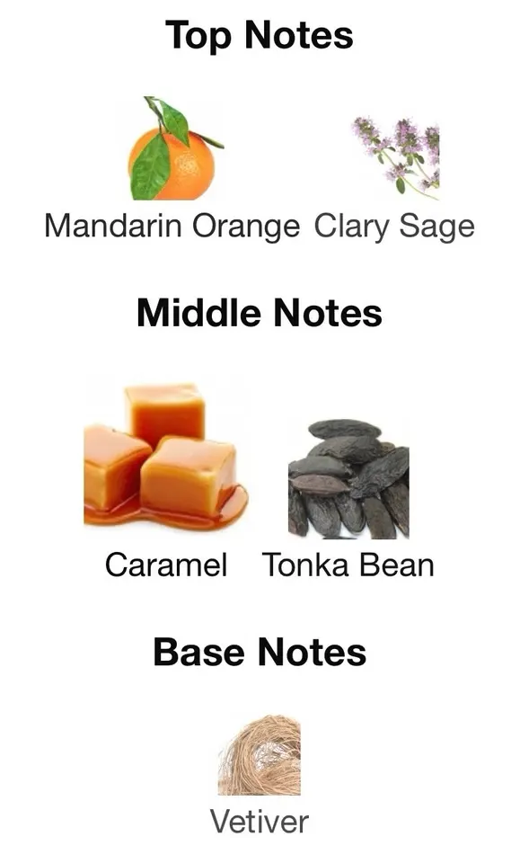 عطر سترينجر من مايلستون للرجال او دي برفان، 100 مل