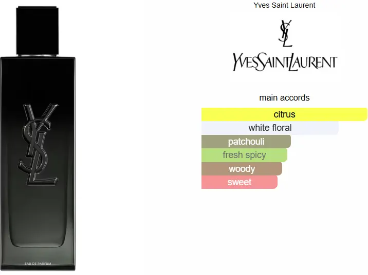 عطر ماي سيلف من ايف سان لوران للرجال او دى برفان، 40 مل