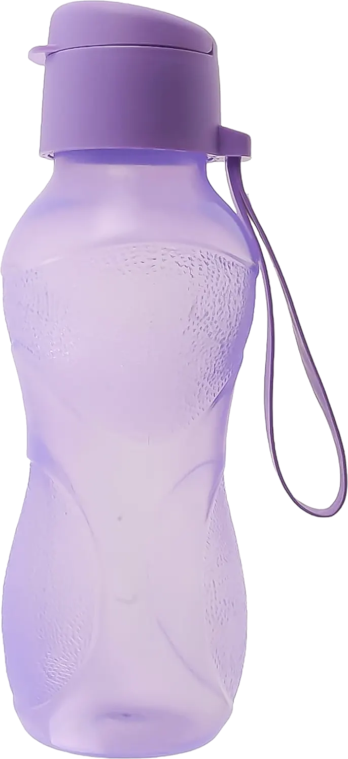 Glass Rio plastic water bottle for refrigerator, 500 ml, with roll cap - purple