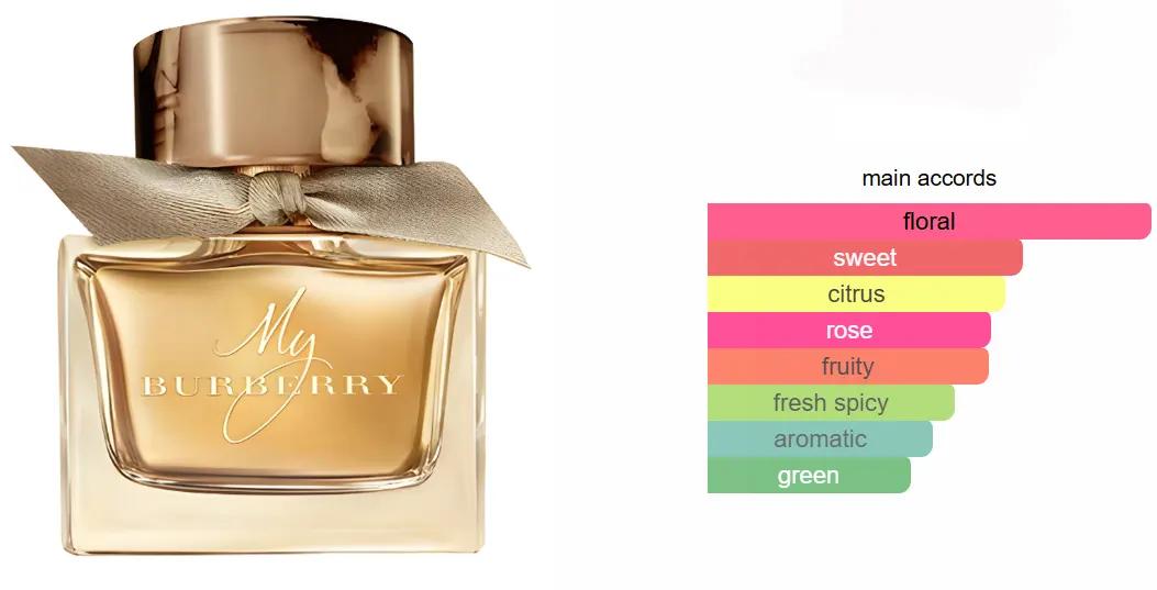 عطر ماي بربري من بربري للنساء او دى برفان، 90 مل (تستر)