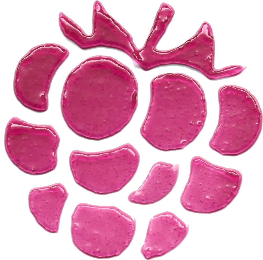 تينت مرطب الشفاه والخدود جوسي بيري من ايسينس