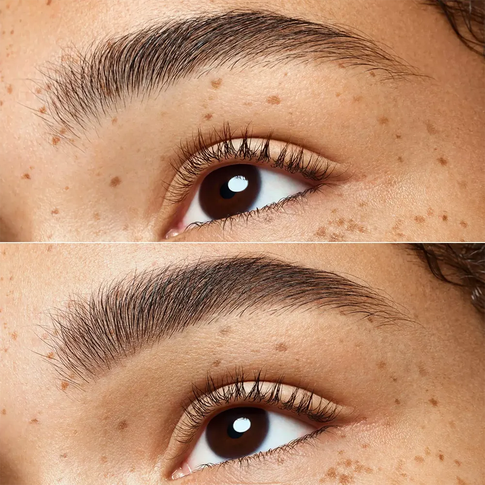 مجموعة بودرة الحواجب الثنائيه من ايسينس، 02 ميديم