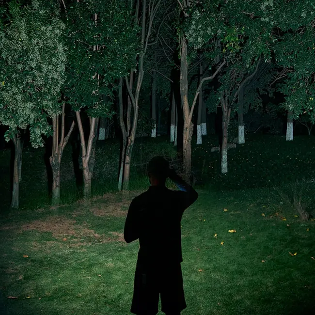 كشاف رأس بوش ، 190 لومن ، اخضر ، 1 600.A02.W7U