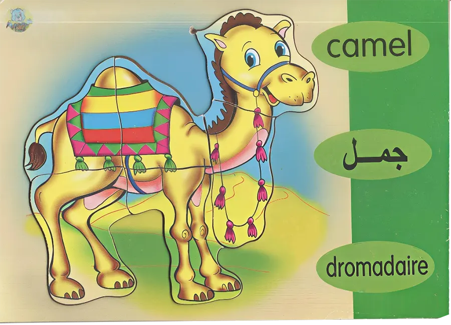 بازل 17X24 ، اشكال متنوعة ، 313