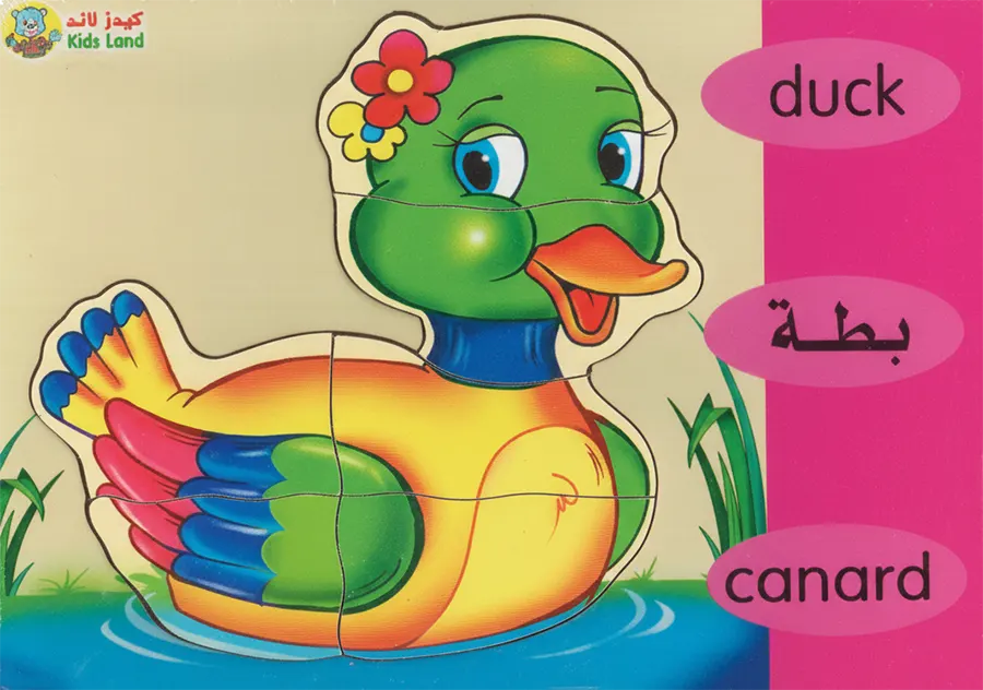 بازل 17X24 ، اشكال متنوعة ، 313